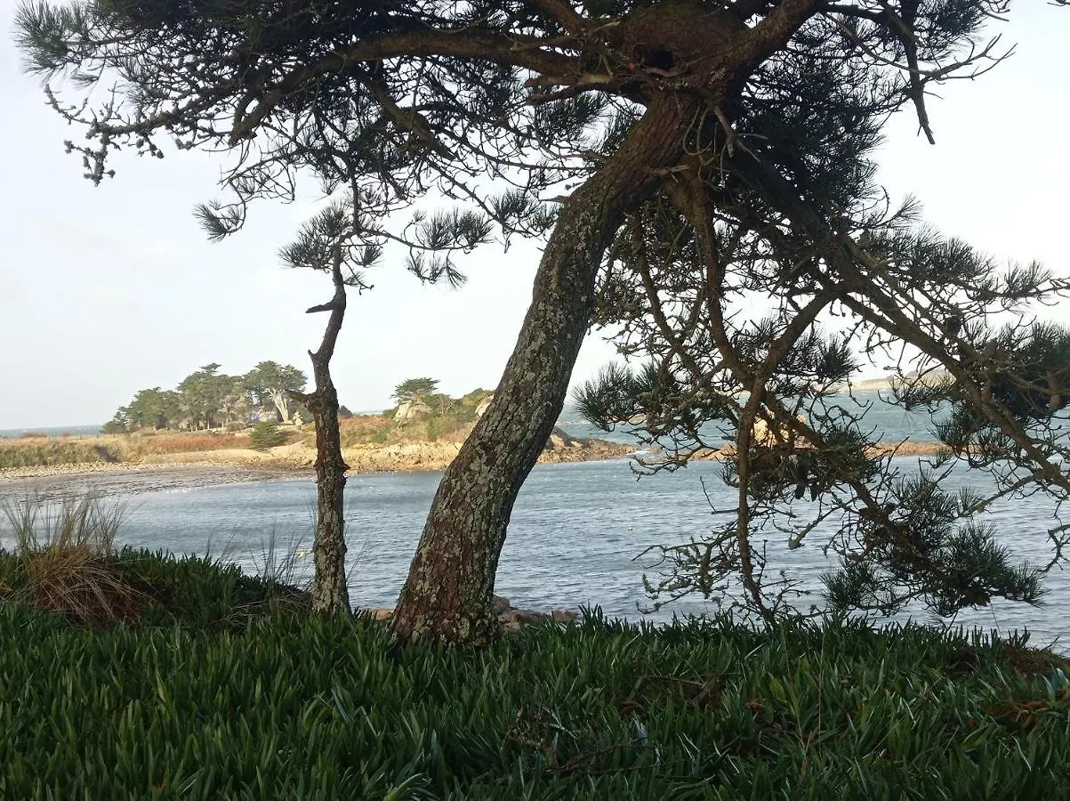 Maison Vue Mer Et Campagne Sibiril France